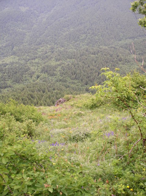 6.10.06 Table Mtn_3CR 055 